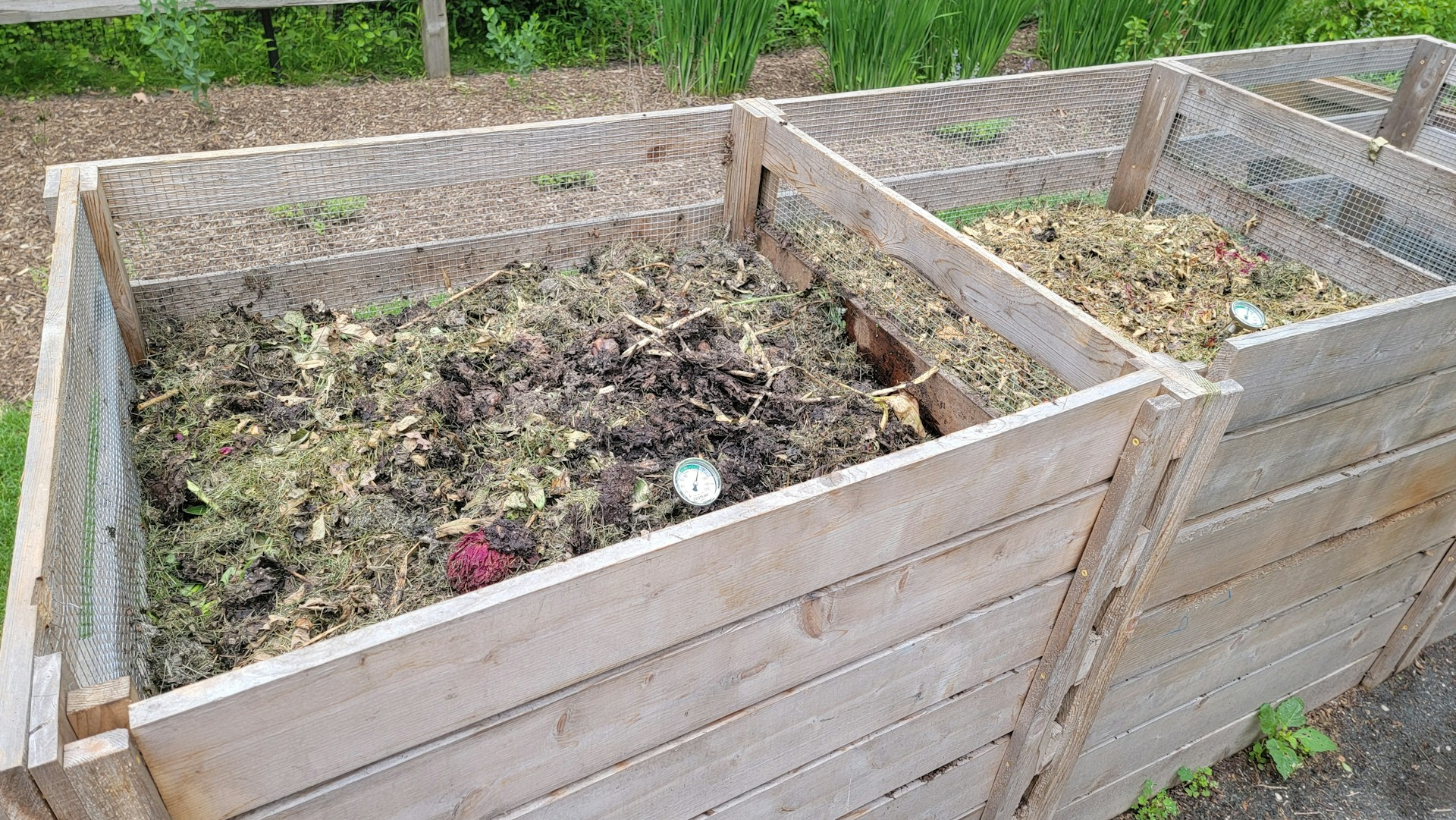 Composting for beginners: easy food waste tips turning kitchen scraps like veggie peels into rich compost soil