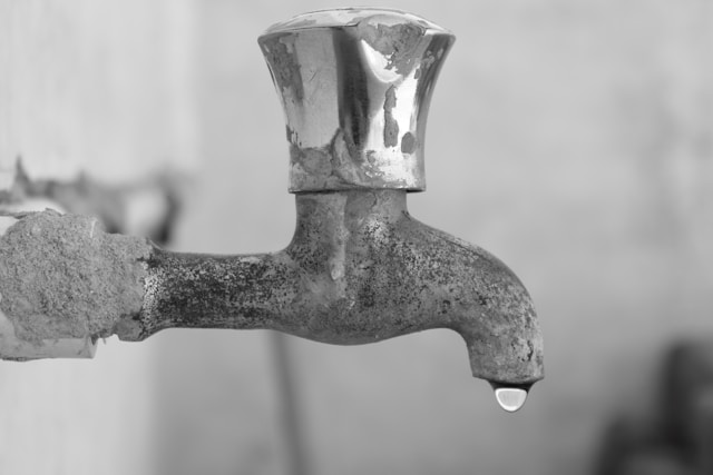 Conserve Water at Home: Easy Daily Habits