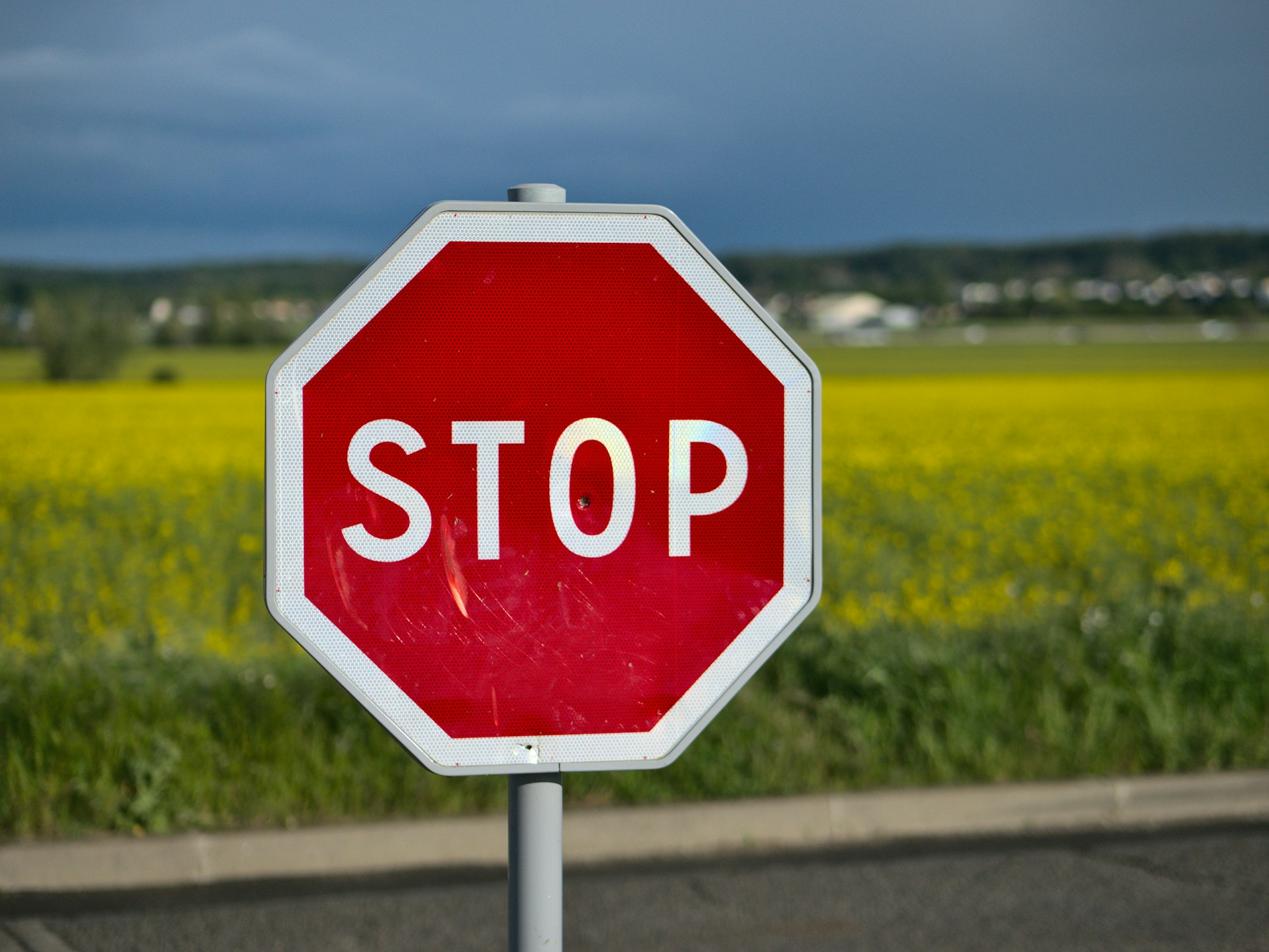 The STOP Method survival guide: classic red octagonal STOP sign standing in a sunny yellow flower field
